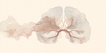 What Is Moya Moya Disease? Symptoms, Causes, and Treatment Options